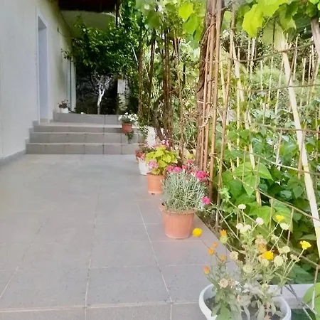 T. Bello Apartament